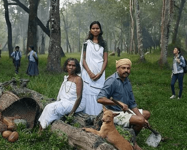 Kerala Holiday Packages from the UK and Australia: A Complete Travel Guide